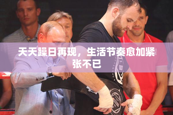 天天躁日再现，生活节奏愈加紧张不已