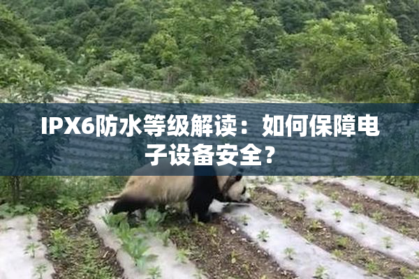 IPX6防水等级解读：如何保障电子设备安全？