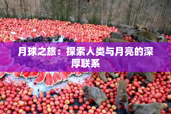 月球之旅：探索人类与月亮的深厚联系