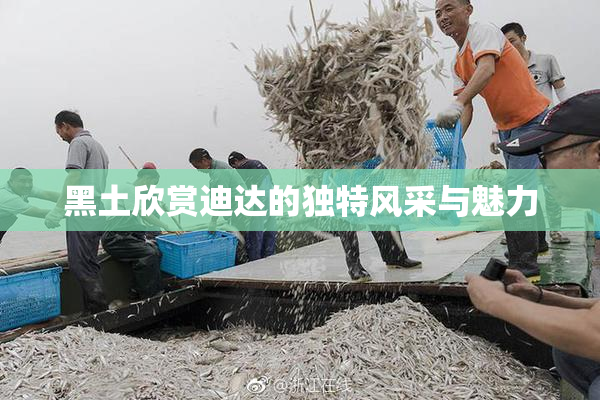黑土欣赏迪达的独特风采与魅力