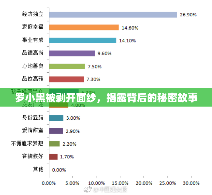 罗小黑被剥开面纱，揭露背后的秘密故事