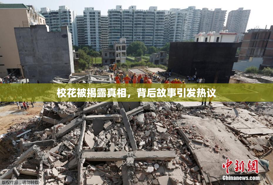 校花被揭露真相，背后故事引发热议