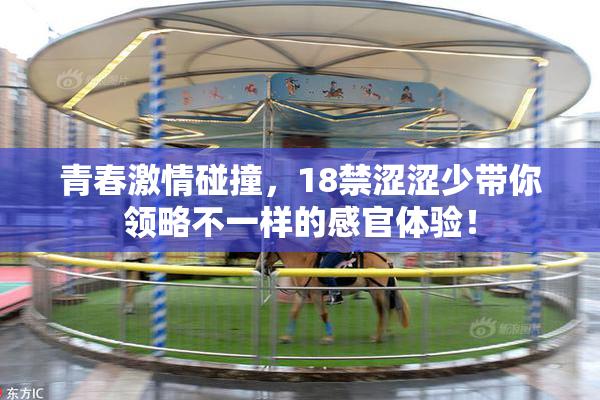 青春激情碰撞，18禁涩涩少带你领略不一样的感官体验！
