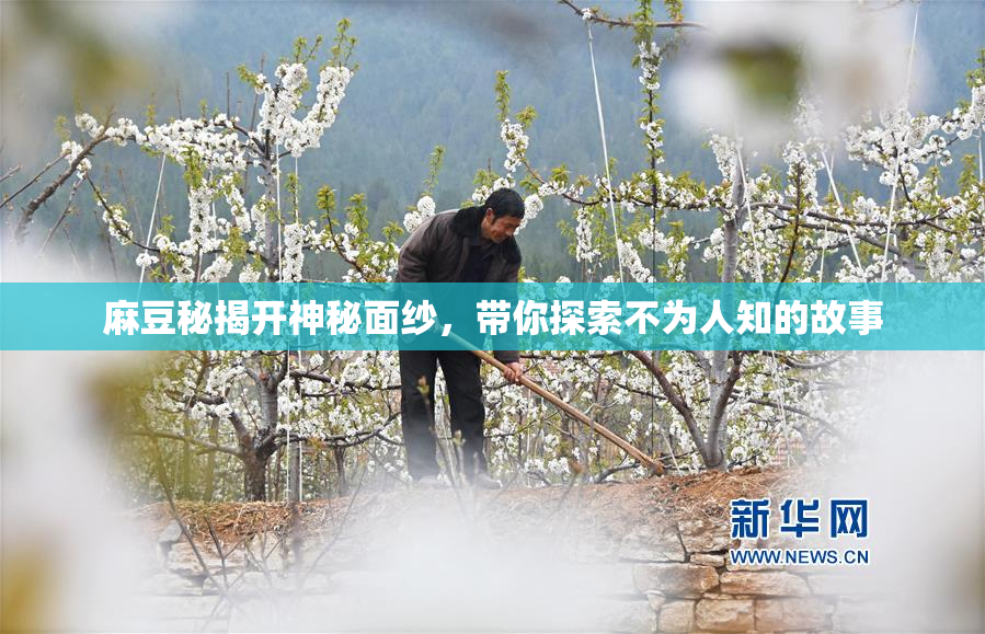 麻豆秘揭开神秘面纱，带你探索不为人知的故事