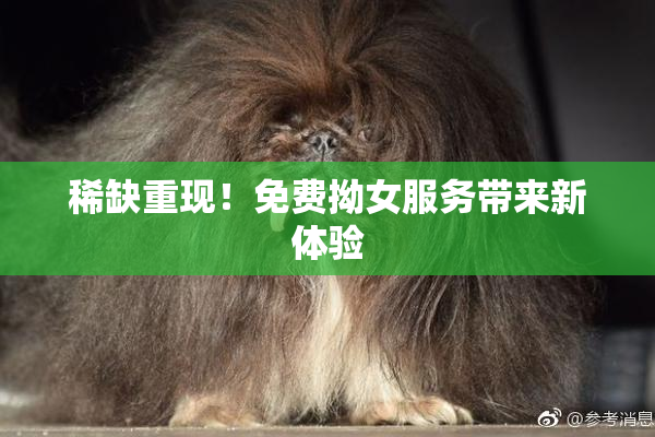 稀缺重现！免费拗女服务带来新体验