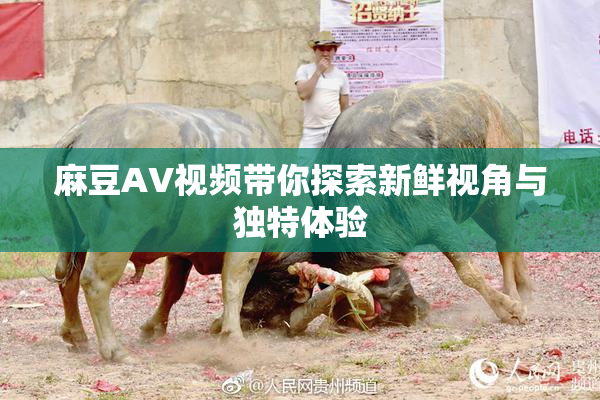麻豆AV视频带你探索新鲜视角与独特体验