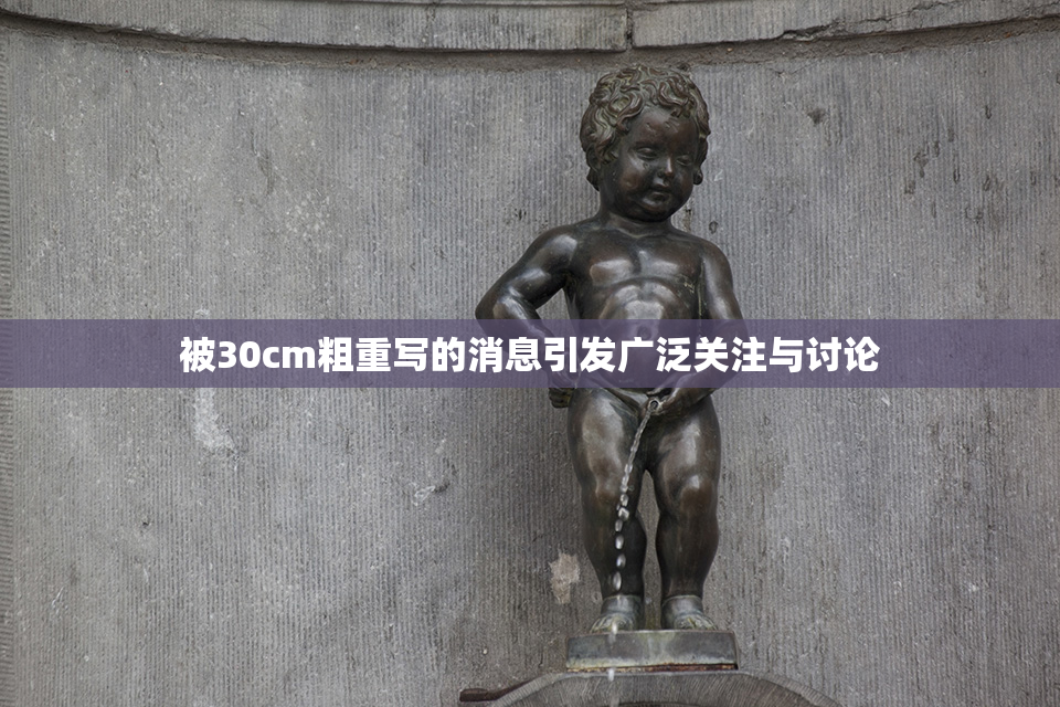 被30cm粗重写的消息引发广泛关注与讨论