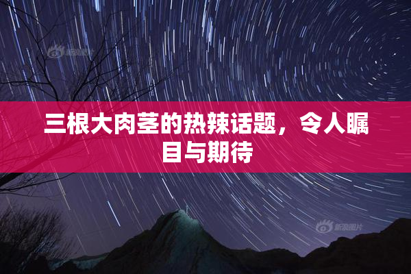 三根大肉茎的热辣话题，令人瞩目与期待