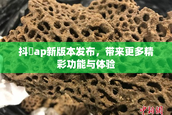 抖抈ap新版本发布，带来更多精彩功能与体验