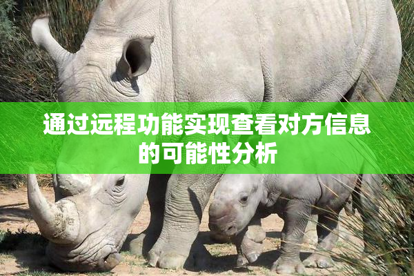 通过远程功能实现查看对方信息的可能性分析