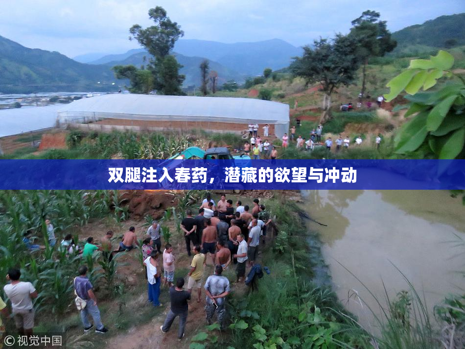 双腿注入春药，潜藏的欲望与冲动