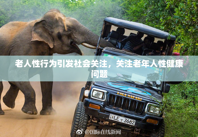 老人性行为引发社会关注，关注老年人性健康问题