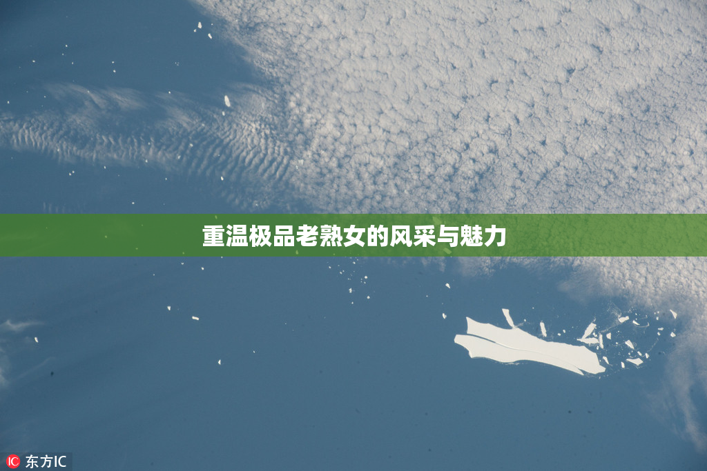 重温极品老熟女的风采与魅力