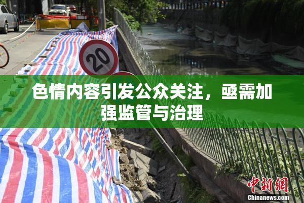 色情内容引发公众关注，亟需加强监管与治理