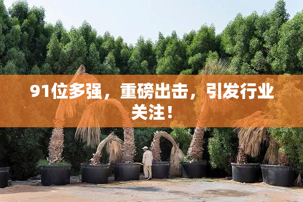 91位多强，重磅出击，引发行业关注！