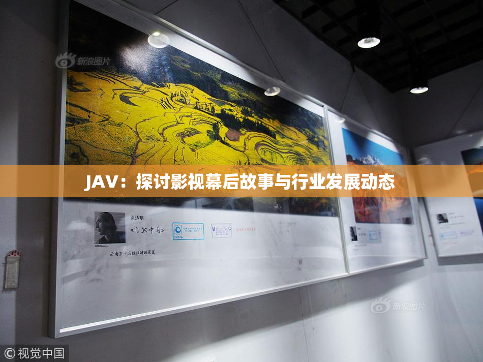 JAV：探讨影视幕后故事与行业发展动态