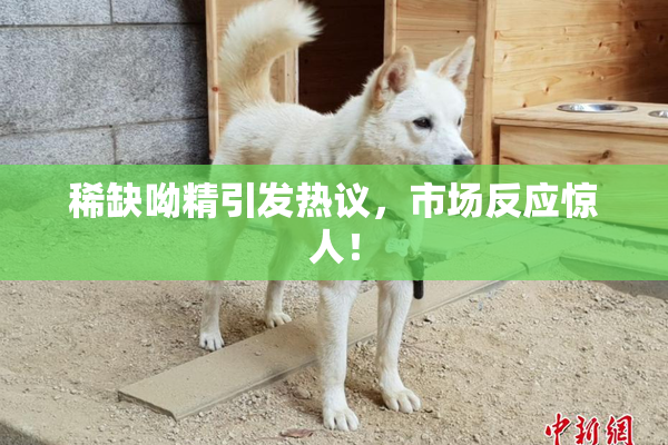 稀缺呦精引发热议，市场反应惊人！