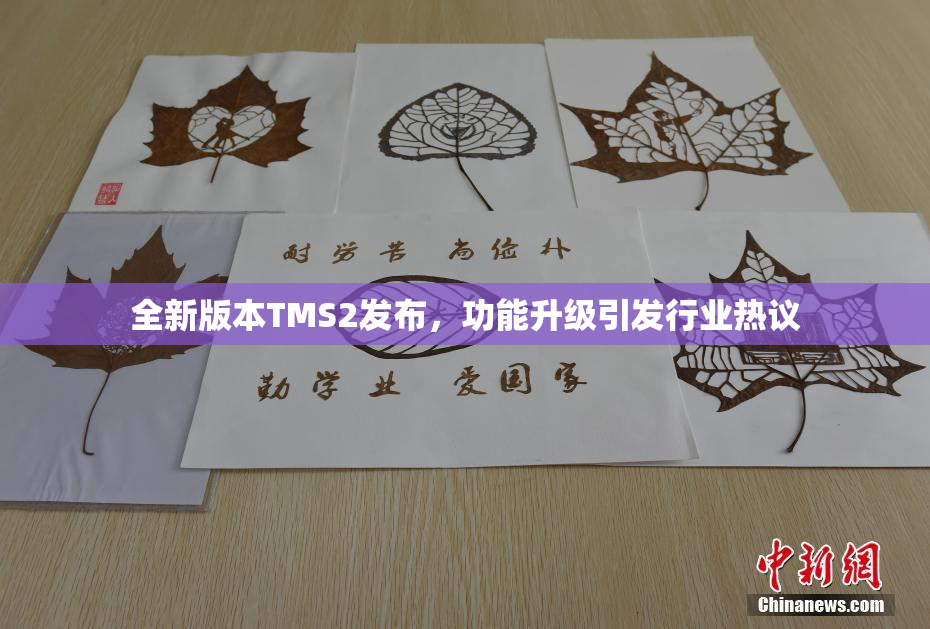 全新版本TMS2发布，功能升级引发行业热议