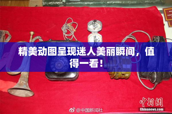 精美动图呈现迷人美丽瞬间，值得一看！
