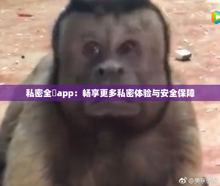 私密全婐app：畅享更多私密体验与安全保障