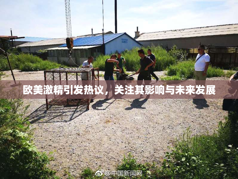 欧美激精引发热议，关注其影响与未来发展