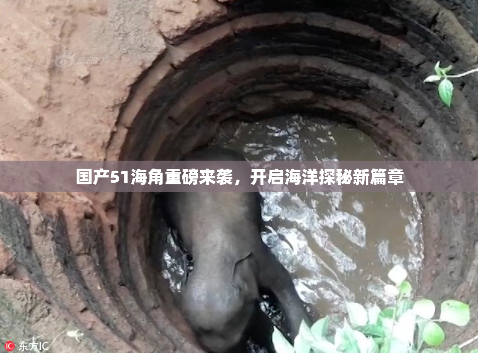 国产51海角重磅来袭，开启海洋探秘新篇章