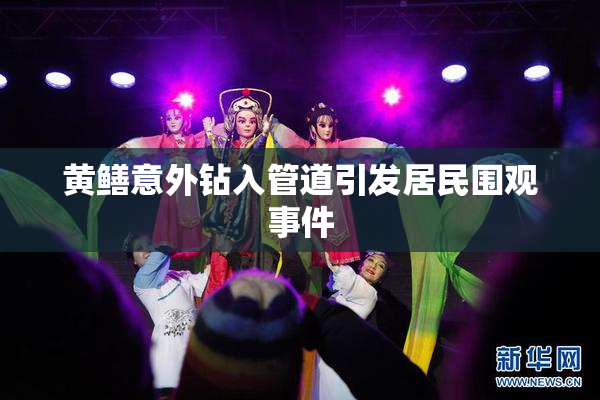 黄鳝意外钻入管道引发居民围观事件