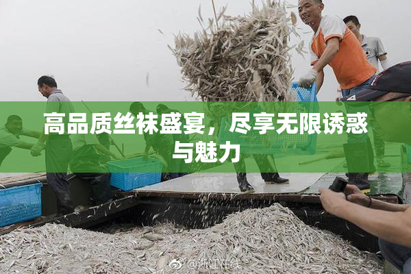 高品质丝袜盛宴，尽享无限诱惑与魅力