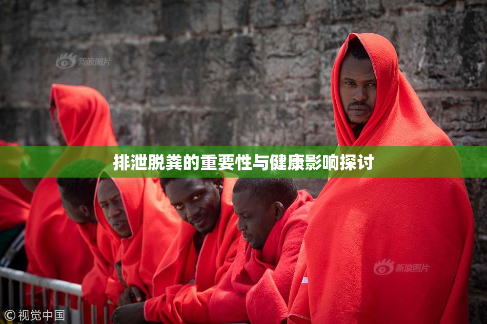 排泄脱粪的重要性与健康影响探讨