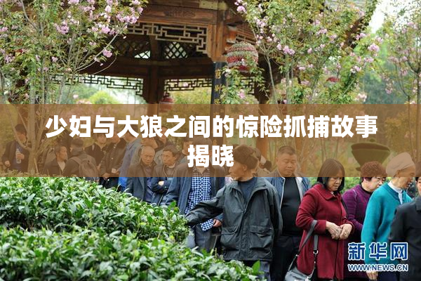 少妇与大狼之间的惊险抓捕故事揭晓