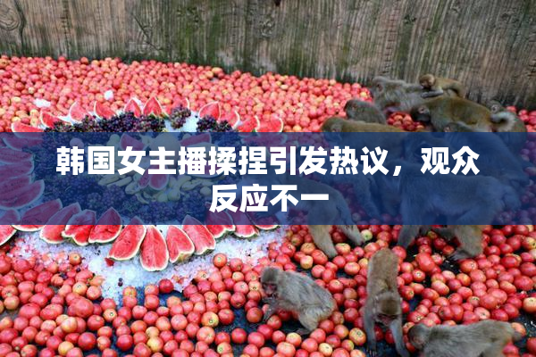 韩国女主播揉捏引发热议，观众反应不一