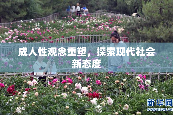 成人性观念重塑，探索现代社会新态度