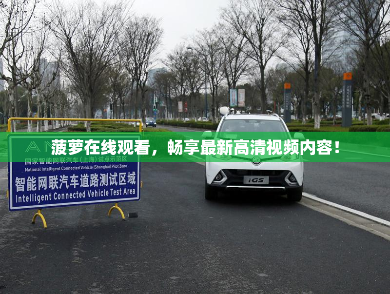 菠萝在线观看，畅享最新高清视频内容！