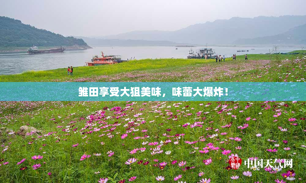 雏田享受大狙美味，味蕾大爆炸！