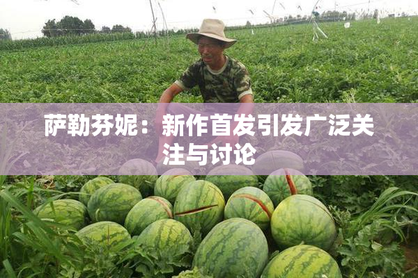 萨勒芬妮：新作首发引发广泛关注与讨论