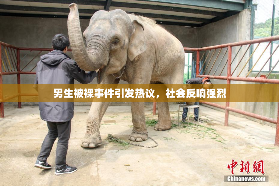 男生被裸事件引发热议，社会反响强烈