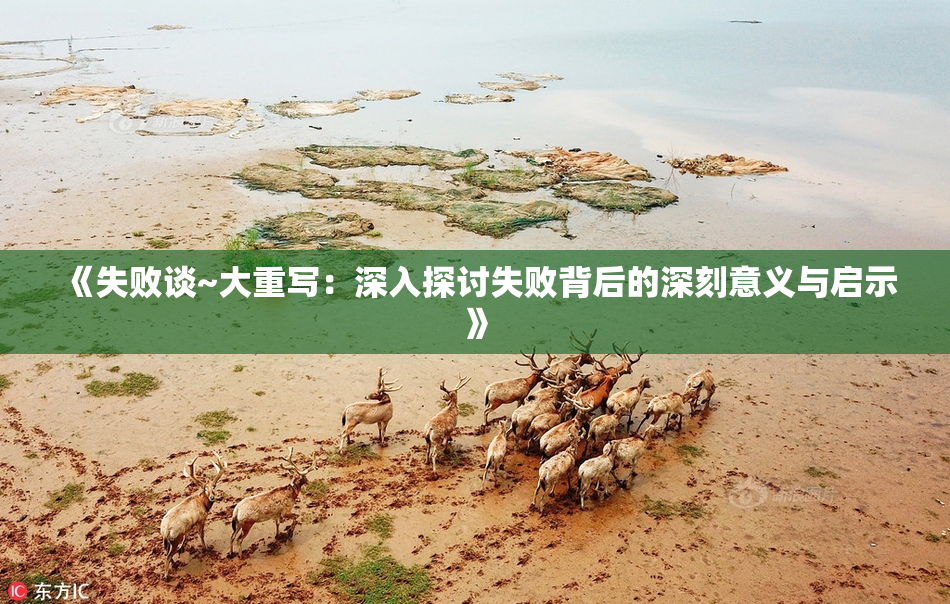 《失败谈~大重写：深入探讨失败背后的深刻意义与启示》