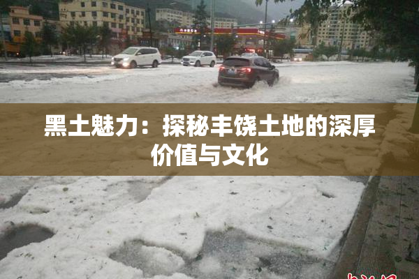 黑土魅力：探秘丰饶土地的深厚价值与文化