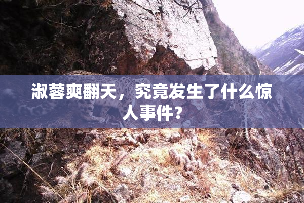 淑蓉爽翻天，究竟发生了什么惊人事件？