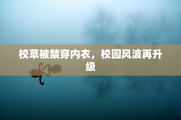 校草被禁穿内衣，校园风波再升级