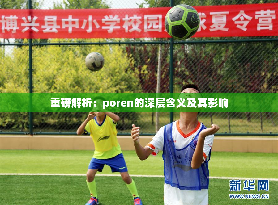 重磅解析：poren的深层含义及其影响