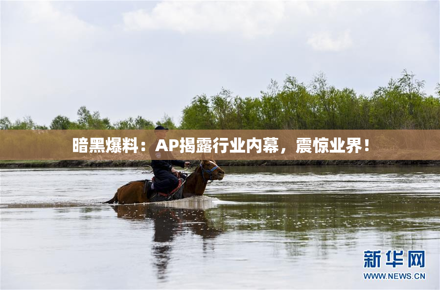 暗黑爆料：AP揭露行业内幕，震惊业界！