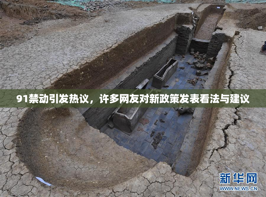 91禁动引发热议，许多网友对新政策发表看法与建议