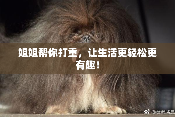 姐姐帮你打重，让生活更轻松更有趣！