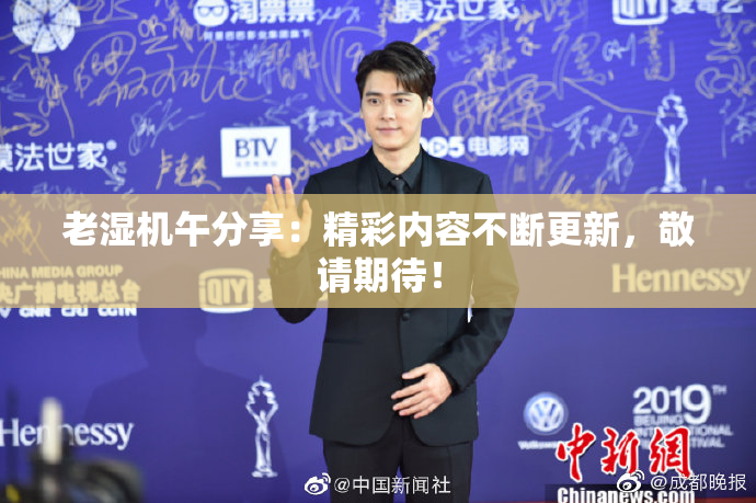 老湿机午分享：精彩内容不断更新，敬请期待！