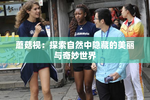 蘑菇视：探索自然中隐藏的美丽与奇妙世界