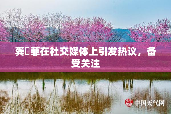 龚玥菲在社交媒体上引发热议，备受关注