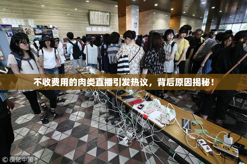 不收费用的肉类直播引发热议，背后原因揭秘！