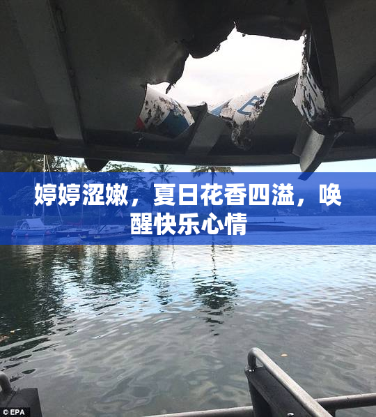 婷婷涩嫩，夏日花香四溢，唤醒快乐心情