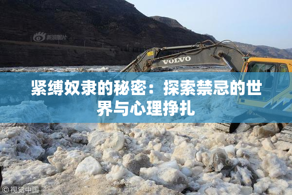 紧缚奴隶的秘密：探索禁忌的世界与心理挣扎